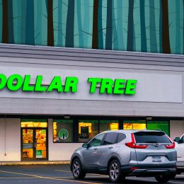 11 Best New Dollar Tree Halloween Door and Porch Finds Under $1.50. Whitesboro, NY - Jan 11, 2026: Night view of Dollar Tree Storefront, a discount variety retailer, expanded thru Dollar Tree, Dollar Tree Plus and Family Dollar to over 16600 stores in North America