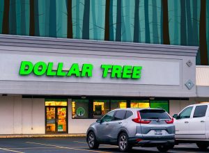 11 Best New Dollar Tree Halloween Door and Porch Finds Under $1.50. Whitesboro, NY - Jan 11, 2026: Night view of Dollar Tree Storefront, a discount variety retailer, expanded thru Dollar Tree, Dollar Tree Plus and Family Dollar to over 16600 stores in North America