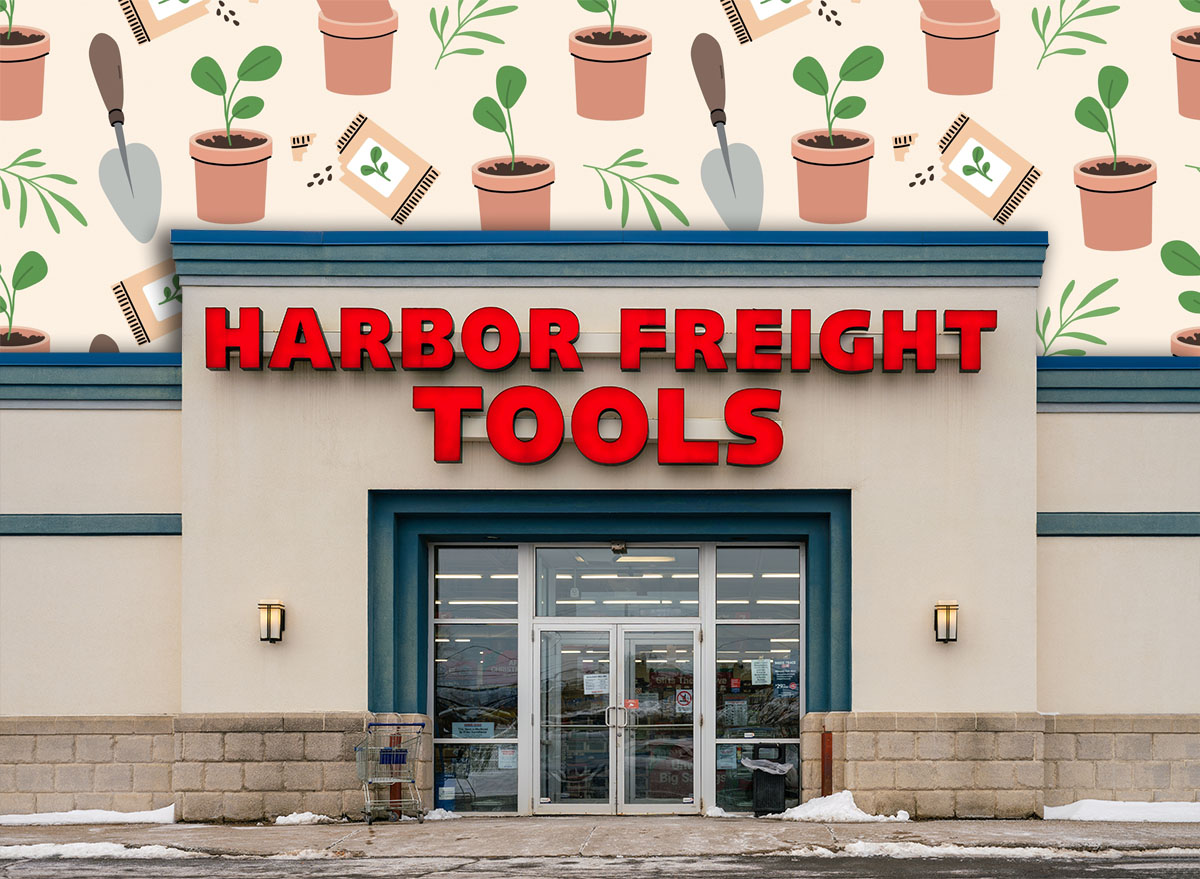 11 Best New Harbor Freight Fall Yard Tool Finds Under $25. Yorkville, NY - Dec 28, 2025: Harbor Freight Tools, a U.S. discount equipment retailer founded in 1977, shown with its red block-letter storefront and winter conditions at a standalone location