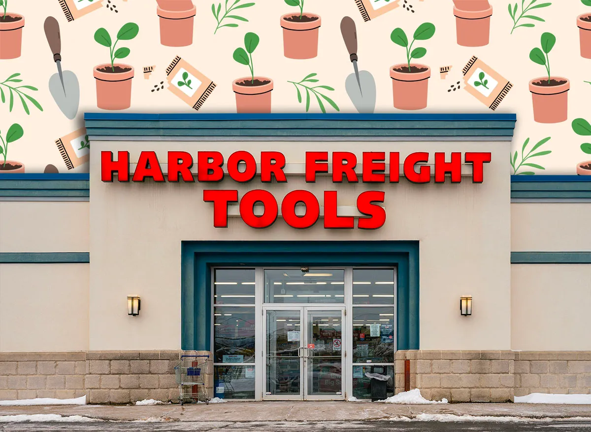 11 Best New Harbor Freight Fall Yard Tool Finds Under $25