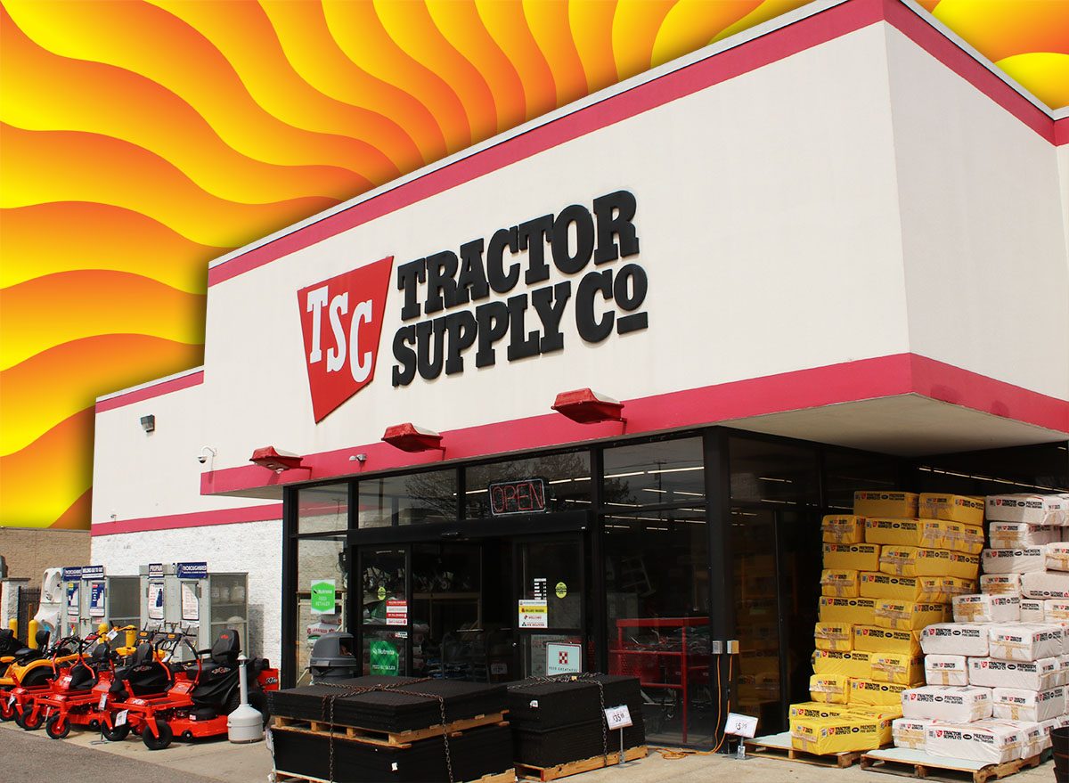 11 Best New Tractor Supply Garage and Storage Finds Under $25
