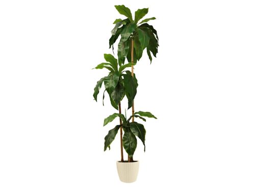 3-Head Bird's Nest Tree in White Planter