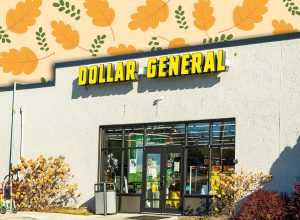 7 Best New Dollar General Fall Porch Finds Under $10. Philadelphia, PA. USA - Dec 06th 2024: A Dollar General store with a green truck parked in front of it. The store is empty and the sky is blue