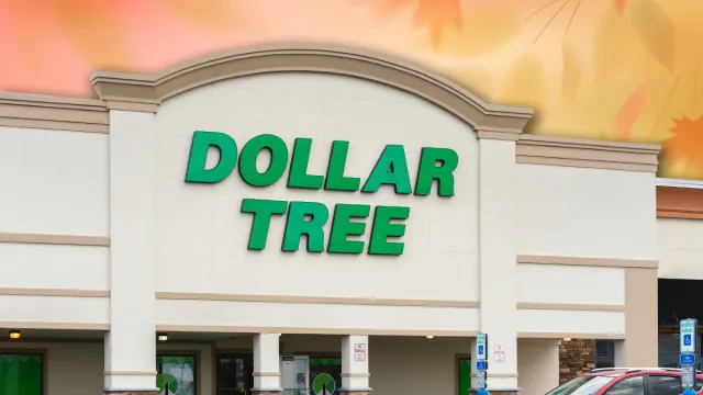 7 Best New Dollar Tree Fall Porch and Doormat Finds Under $7. Ventnor City, NJ - Aug 28, 2025: Close-up of Dollar Tree Store, a Fortune 200 company and a leading operator of discount variety stores in North America. It operates over 16000 stores