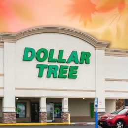 7 Best New Dollar Tree Fall Porch and Doormat Finds Under $7. Ventnor City, NJ - Aug 28, 2025: Close-up of Dollar Tree Store, a Fortune 200 company and a leading operator of discount variety stores in North America. It operates over 16000 stores