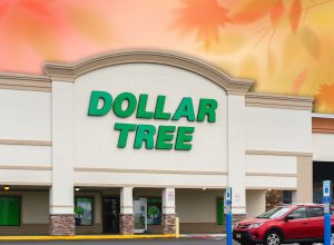 7 Best New Dollar Tree Fall Porch and Doormat Finds Under $7. Ventnor City, NJ - Aug 28, 2025: Close-up of Dollar Tree Store, a Fortune 200 company and a leading operator of discount variety stores in North America. It operates over 16000 stores