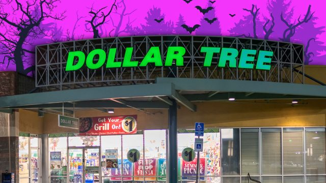 7 Best New Dollar Tree Halloween Decor Finds Under $1.50. Woodland, CA/USA 5/22/2019 Night panoramic image of a Dollar Tree Store