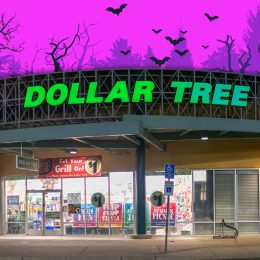 7 Best New Dollar Tree Halloween Decor Finds Under $1.50. Woodland, CA/USA 5/22/2019 Night panoramic image of a Dollar Tree Store