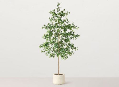 96" Black Olive Artificial Tree - Hearth & Hand™ with Magnolia