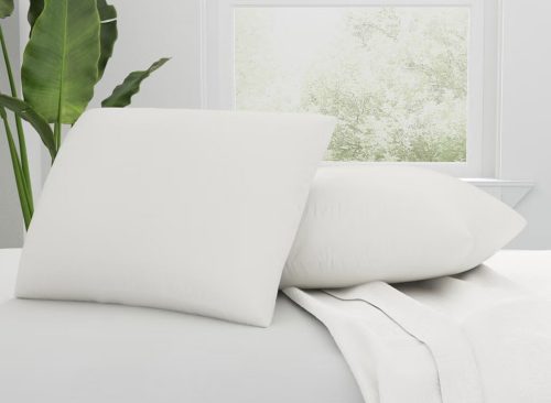 AllerEase Organic Cotton Top Allergy Protection Pillow