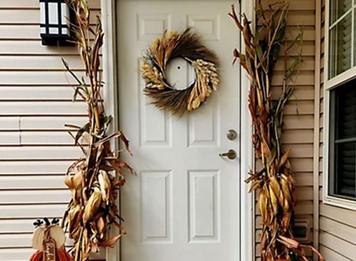 Corn Stalks Decor Bundle of 5
