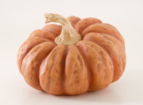 Decorative Orange Pumpkin