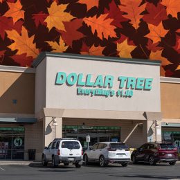 Dollar Tree