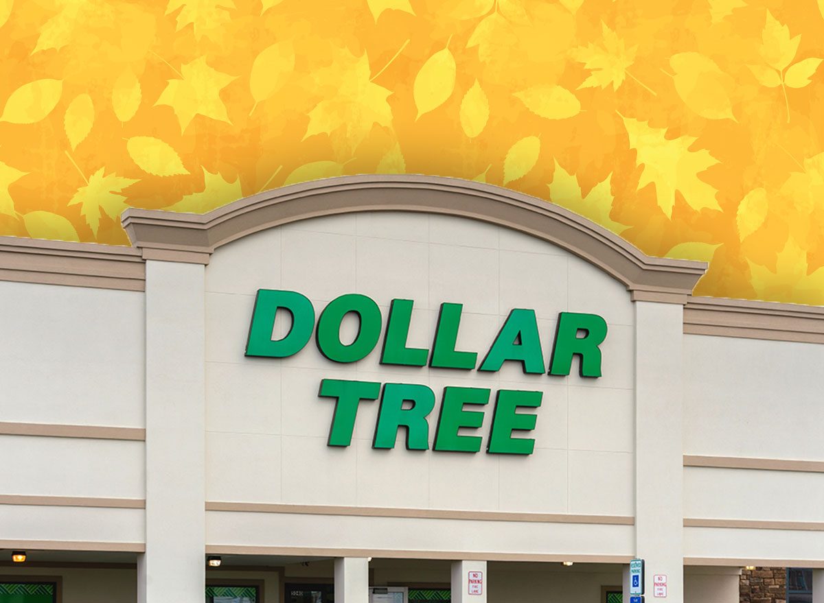 7 Best New Dollar Tree Fall Finds to Buy Before They Sell Out
