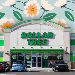 Dollar Tree