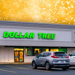 Dollar Tree