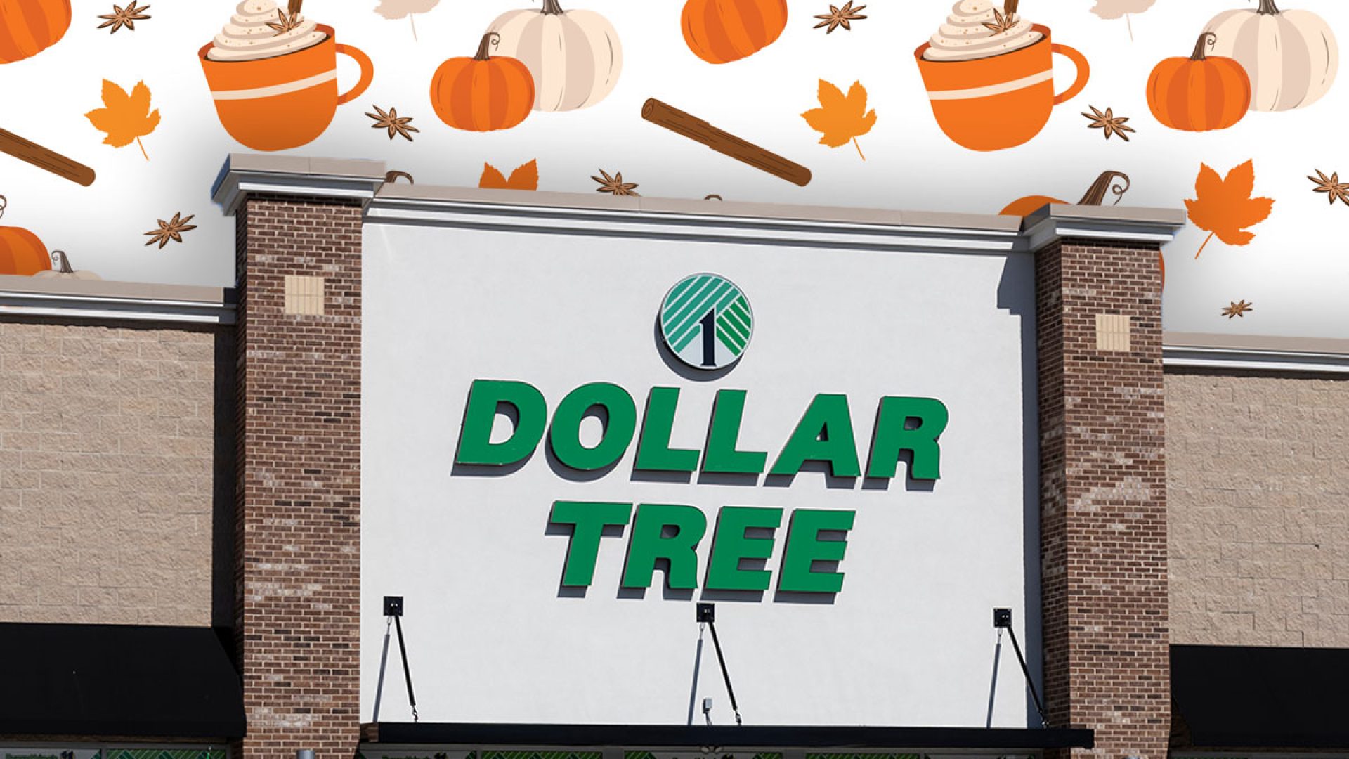 11 Best New Dollar Tree Fall Mug and Cup Finds Under $1.50