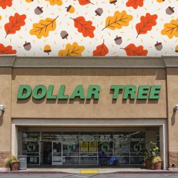 Dollar Tree