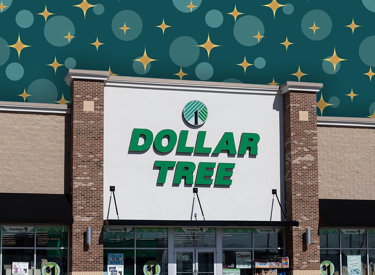 11 Best New Dollar Tree Finds Flying Off Shelves