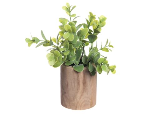 Eucalyptus Bundle in Wooden Pot
