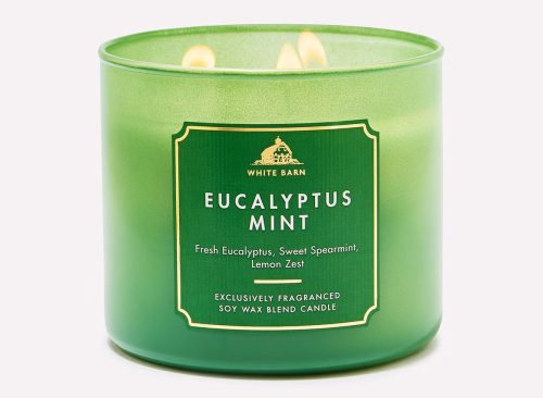 Eucalyptus Mint 3-Wick Candle