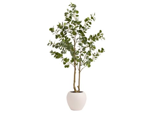 Faux Silver Dollar Eucalyptus Tree in Cream Pot