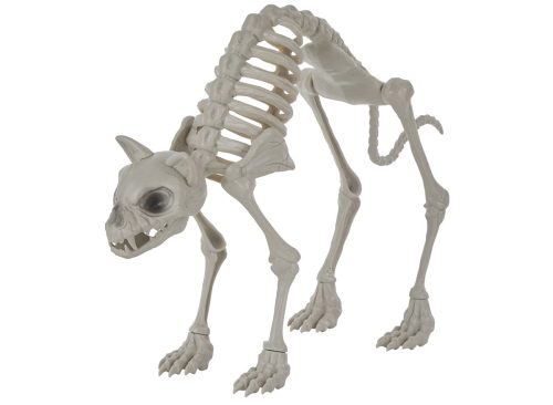 Halloween Cat Skeleton Décor