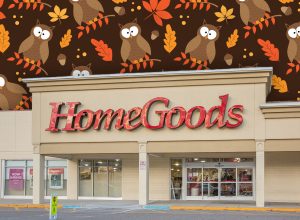 HomeGoods