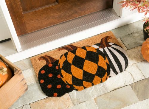 Honea 18" x 30" Harvest Pumpkins Shaped Outdoor Coir Doormat