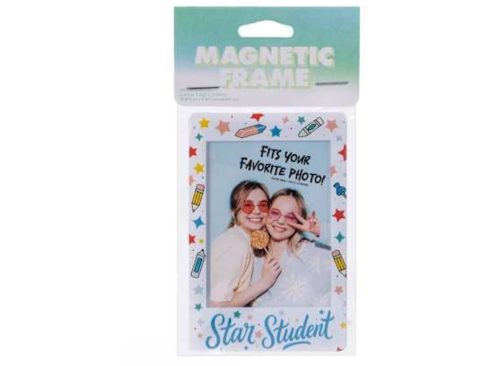 Magnetic Frame