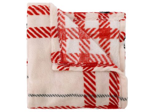 Peanuts® Silk Touch Throw 50inx60in