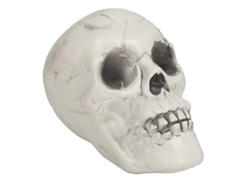 Plastic Halloween Skulls