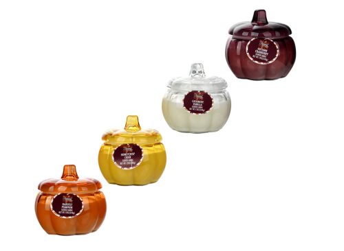 Seasonal Collection Pumpkin Jar Scented Candle, Assorted Scents