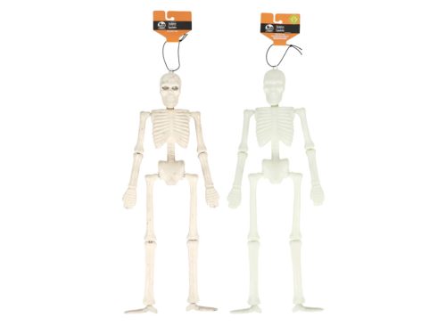 Seasonal Collection Skeleton Decor, Assorted Colors