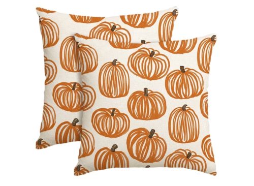 Sm:)e Pencil Drawing Pumpkin Beige Fall Throw Pillow Cover 18x18 Inch Set of 2, Autumn Decorative Outdoor Cushion Cover for Sofa Couch
