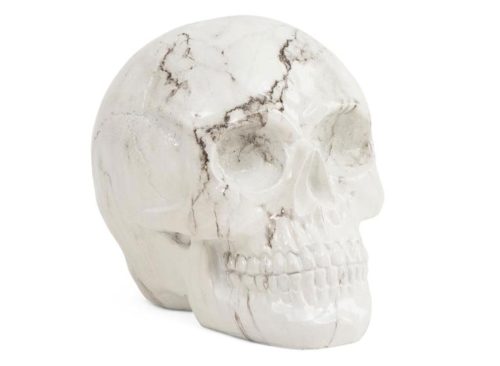 WELL DRESSED HOME 6x6x7.5 Decorative Skull