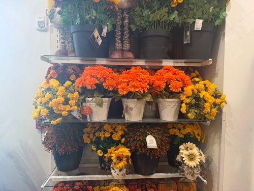 homegoods-entryway-fall-plants