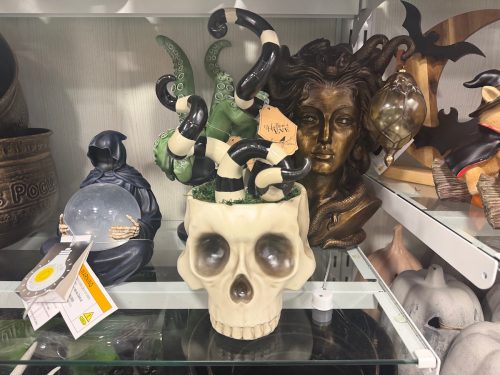 homegoods-living-room-under-$25-skull