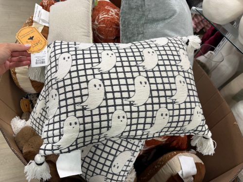 homegoods-living-room-under-30-halloween-throw-pillow