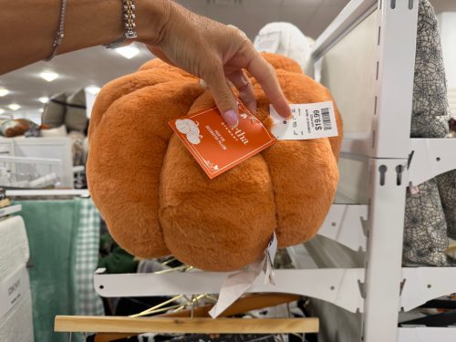 homegoods-pumpkin-harvest-cozy-pillow