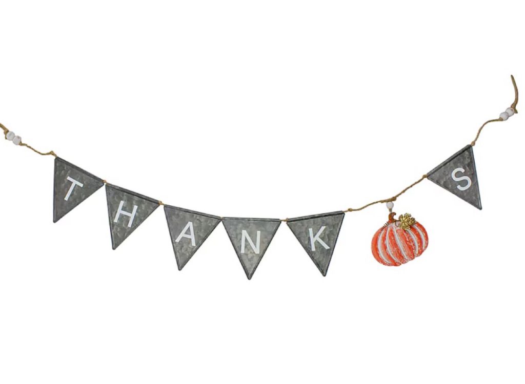 Northlight Hanging Thanks Decoration