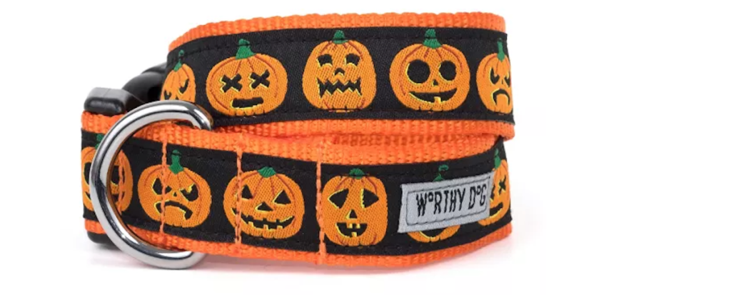 Worthy Dog Adjustable Jack-O-Lantern Dog Collar