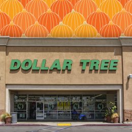 11 Best New Dollar Tree Fall Pumpkin and Gourd Finds Under $5