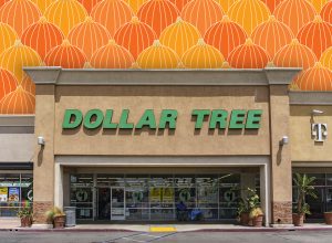 11 Best New Dollar Tree Fall Pumpkin and Gourd Finds Under $5