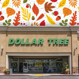 Dollar Tree