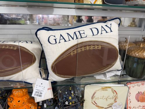 homegoods-cozy-fall-finds-football-pillow