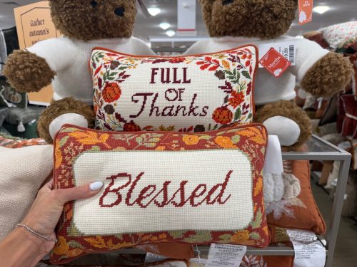 homegoods-cozy-fall-finds-thanksgiving-pillows