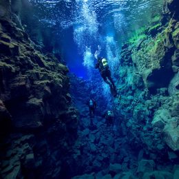 The Most Unique Dive Sites on Earth