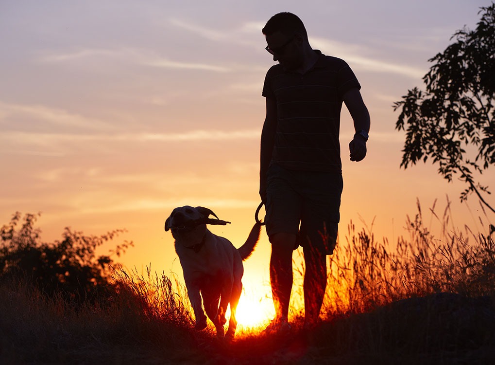 man walking his dog at sunrise, weight loss motivation