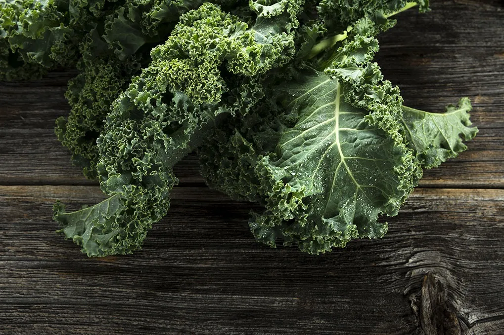 Kale, Best Foods for Maximizing Your Energy Levels